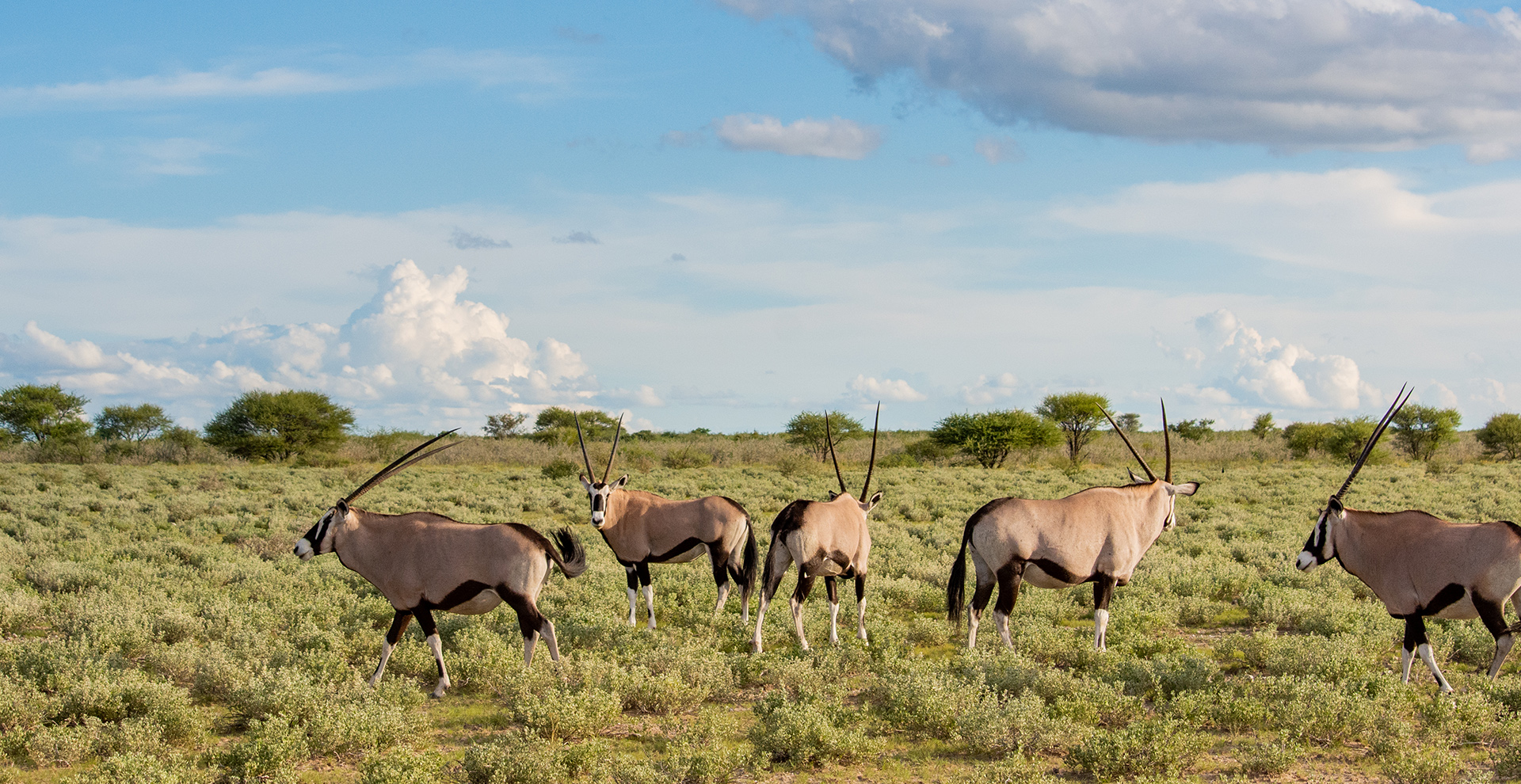 Central Kalahari Game Reserve