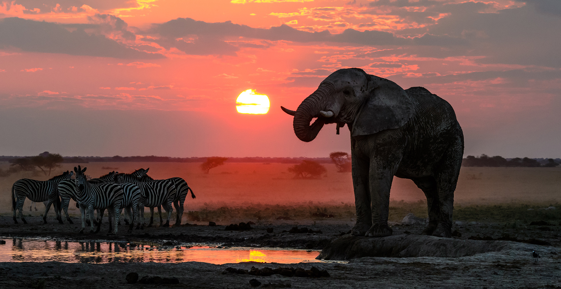 Makgadikgadi Pans And Nxai Pan